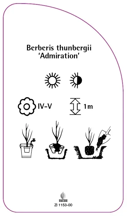 etykiety-berberys-thunberga-admiration