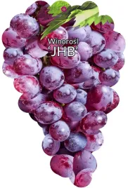 etykiety-szkolkarskie-winorosl-jhd