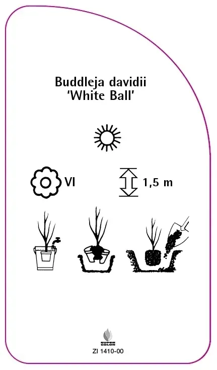 etykiety-budleja-dawida-white-ball