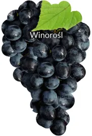 etykiety-szkolkarskie-winorosl-czarna-srednia-blan