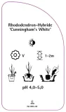 etykiety-rododendron-hybride-cunningham-s-white-stan-nowy