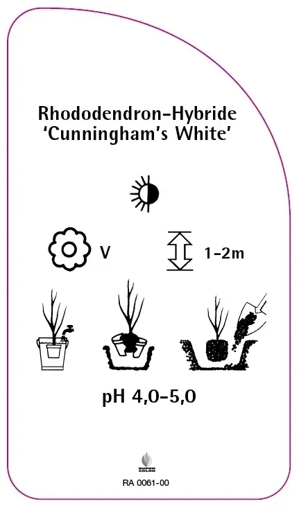 etykiety-rododendron-hybride-cunningham-s-white