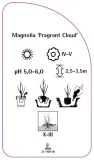 etykiety-magnolia-fragrant-cloud-stan-nowy
