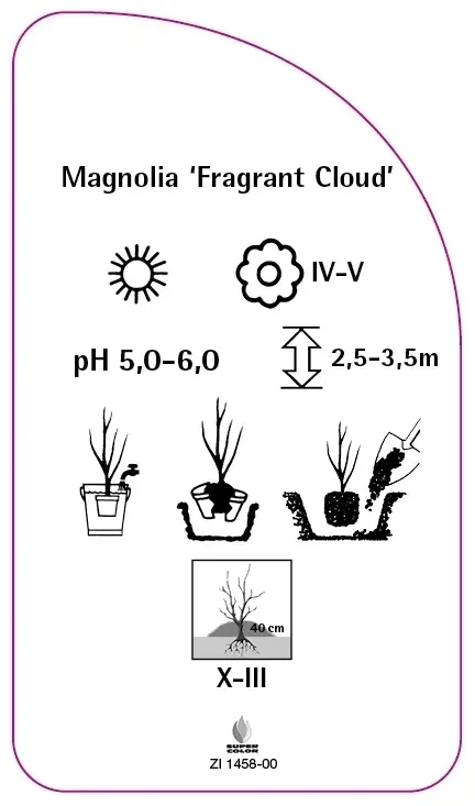 etykiety-magnolia-fragrant-cloud