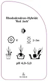 etykiety-rododendron-hybride-red-jack-stan-nowy