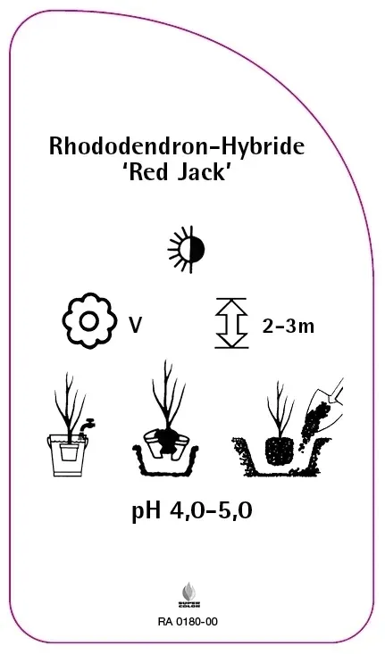etykiety-rododendron-hybride-red-jack