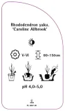 etykiety-rozanecznik-caroline-allbrook-stan-nowy