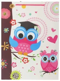 torebka-ozdobna-pionowa-wzor-w-sowy-29x20x40-cm