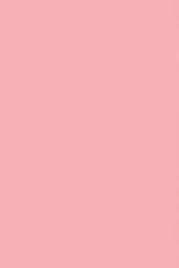 karton-brystol-kolorowy-160g-a2-rozowy-10ark