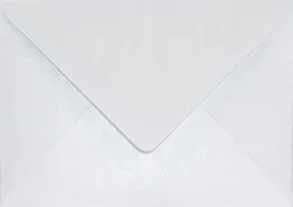 koperty-perlowe-b6-aster-met-white-biale-25szt