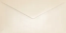 koperty-dl-aster-met-nude-powder-nude-25szt