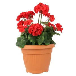 donica-klasyczna-okragla-tradycyjna-terakota-o13cm