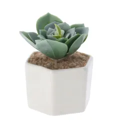 sztuczna-roslina-w-doniczce-sukulent-65x10cm