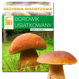 borowik-usiatkowany-zywa-grzybnia-borowika-wlasna-uprawa-grzybow-w-ogrodzie