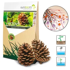 ectovit-zywa-grzybnia-mikoryza-do-iglakow-wzmacnia-wzrost-chroni-drzewa-03