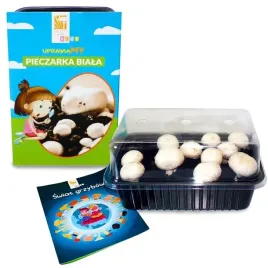 pieczarka-biala-uprawa-zestaw-dla-dzieci-3l