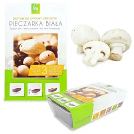 zywa-grzybnia-pieczarka-biala-hodowla-3l-wlasna-uprawa-pieczarki-bialej