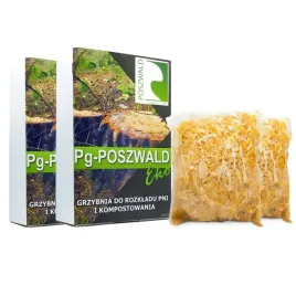 grzybnia-do-rozkladu-pnia-naturalne-usuwanie-pni-usun-sciety-pien-grzybnia