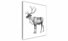 obraz-na-szkle-kwadratowy-70x70cm-030-graficzny-renifer
