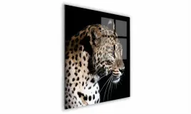 obraz-na-szkle-kwadratowy-70x70cm-051-lampart