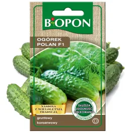biopon-nasiona-ogorek-polan-f1-konserwowy-gruntowy-smaczny-sredniowczesny