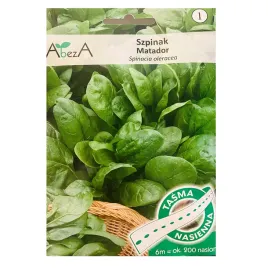 szpinak-matador-nasiona-na-tasmie-smaczny-plenny-zdrowy-odporny-6m