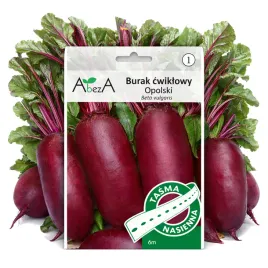 nasiona-smaczny-pozny-burak-cwiklowy-opolski-na-tasmie-ok-160-nasion