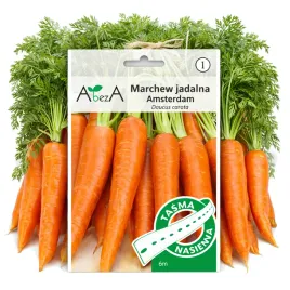 nasiona-na-tasmie-marchew-jadalna-amsterdamska-plenna-wczesna-600-nasion-6m