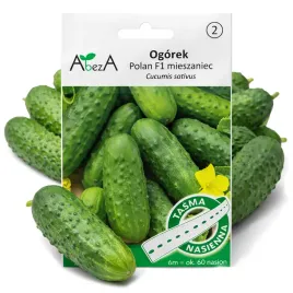 ogorek-polan-f1-mieszaniec-6-m-tasmy-ok-60-nasion-nasiona-plenny-kwaszeniak