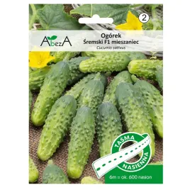 wczesny-ogorek-sremski-f1-nasiona-tasma-6m-odporny-smaczny-plenny