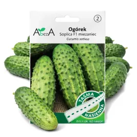 ogorek-ogorki-sredniowczesne-soplica-f1-tasma-nasienna-nasiona-konserwowy