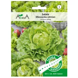 salata-mieszanka-odmian-nasiona-tasmie-maslowa-lodowa-smaczna-odporna-mix