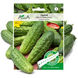 ogorek-ibis-f1-miesz-nasiona-na-tasmie-6-m-wczesny-konserwowy-kwaszeniak