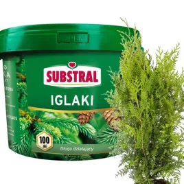 substral-nawoz-do-tui-iglakow-thui-tuje-dlugodzialajacy-100-dni-10-kg