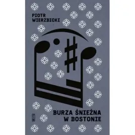 burza-sniezna-w-bostonie