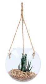 ozdoba-roslina-sukulent-las-w-szkle-sloiku-105-cm