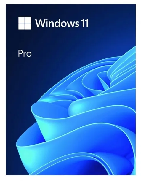 program-microsoft-windows-11-professional-box-elementy-zestawu-inny