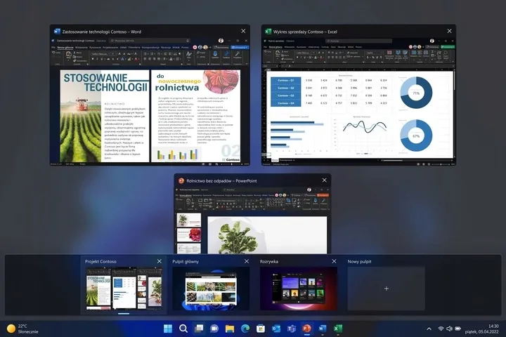 program-microsoft-windows-11-professional-box