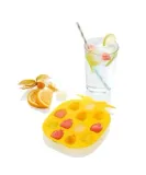 forma-do-lodu-ernesto-1-owoc