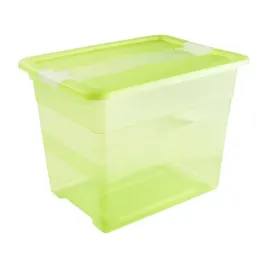cornelia-pojemnik-crystalbox-24l-pokrywka-zielon