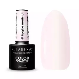 claresa-lakier-hybrydowy-lipglossnails-01