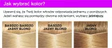loreal-casting-creme-gloss-farba-1010-lodowy-blond-waga-246-g