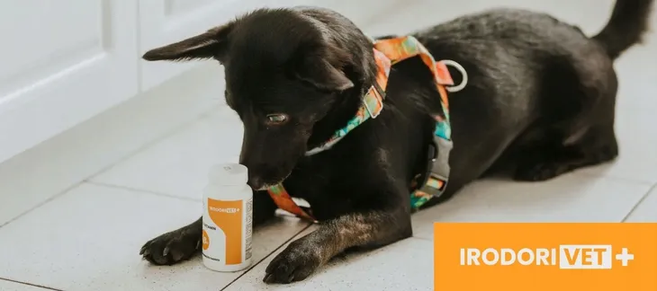 irodorivet-suplementy-dla-psow-multiwitamina-60tab-postac-tabletki