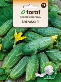 nasiona-warzyw-na-tasmie-ogorek-gruntowy-sremski-f1-7m-toraf-275