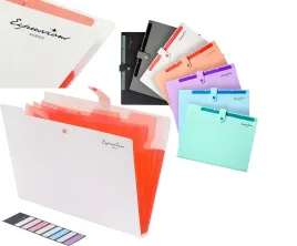 teczka-na-dokumenty-a4-skladana-5-przegrodek-biwuar-organizer-biala