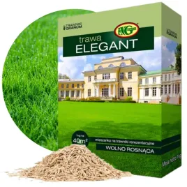 trawa-nasiona-dywanowa-dekoracyjna-reprezentacyjna-1kg-40m2-mieszanka-traw