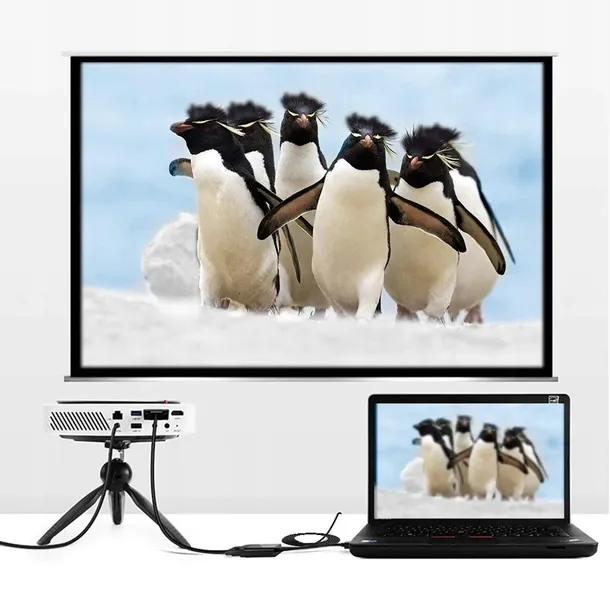 kabel-adapter-z-usb-c-3-1-do-dp-displayport-4k-plug-and-play-18-m-stan-nowy-marka-inna