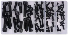 zestaw-srub-imbusowych-od-m4-do-m10-106-sztuk