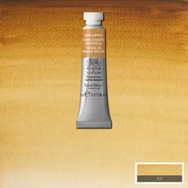 winsorandnewton-farba-akwarelowa-professional-5ml-raw-umber
