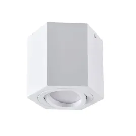 oprawa-sufitowa-natynkowa-biala-tuba-szesciokatna-hexagon-polux